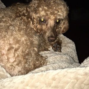 Meet your Posher, Maria a